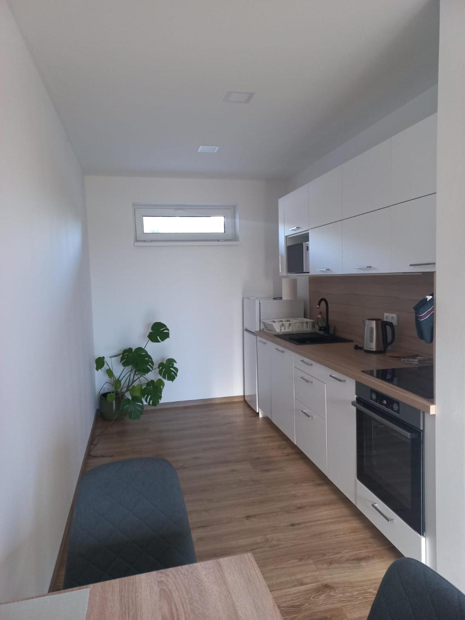 Apartman Anna Нове-Мєсто-над-Метуї Екстер'єр фото