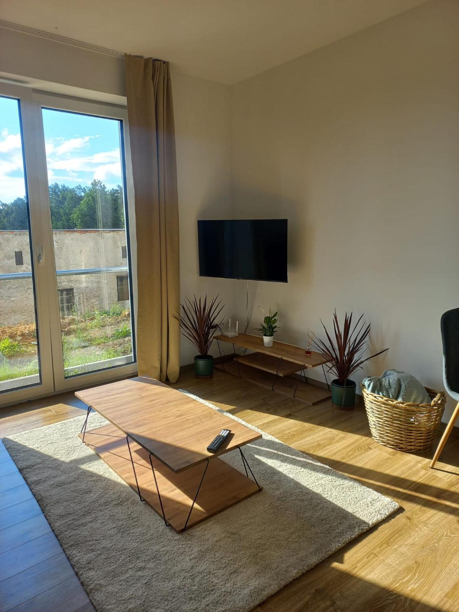 Apartman Anna Нове-Мєсто-над-Метуї Екстер'єр фото